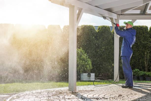 Best Dumpster Area Cleaning  in Hawthorne, FL
